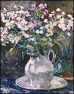 phlox